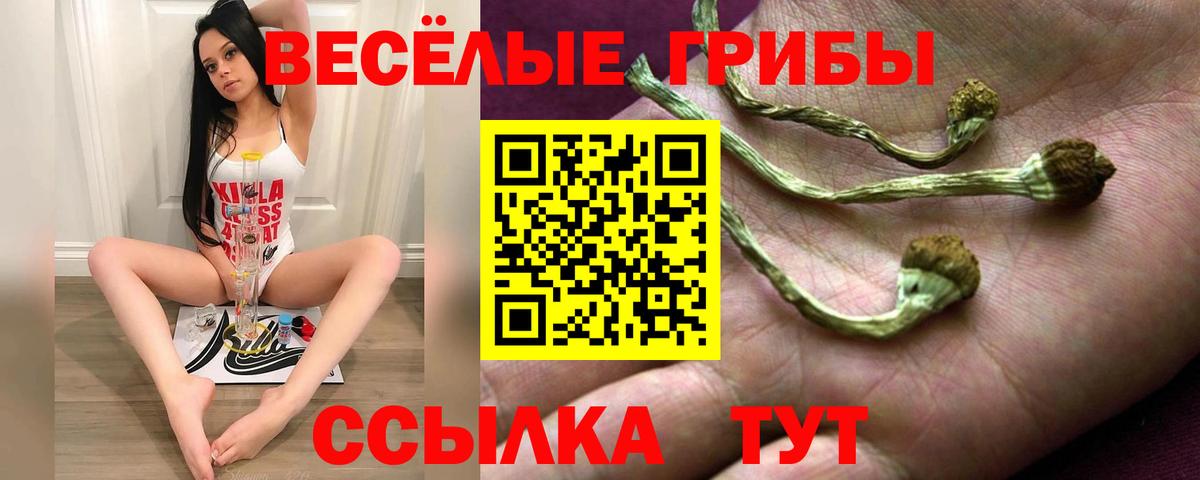 Шелехов  Псилоцибиновые грибы Psilocybine cubensis  Вход с VPN 