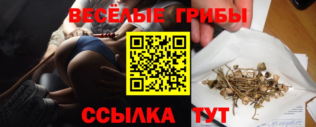 Псилоцибиновые грибы Psilocybe Шелехов